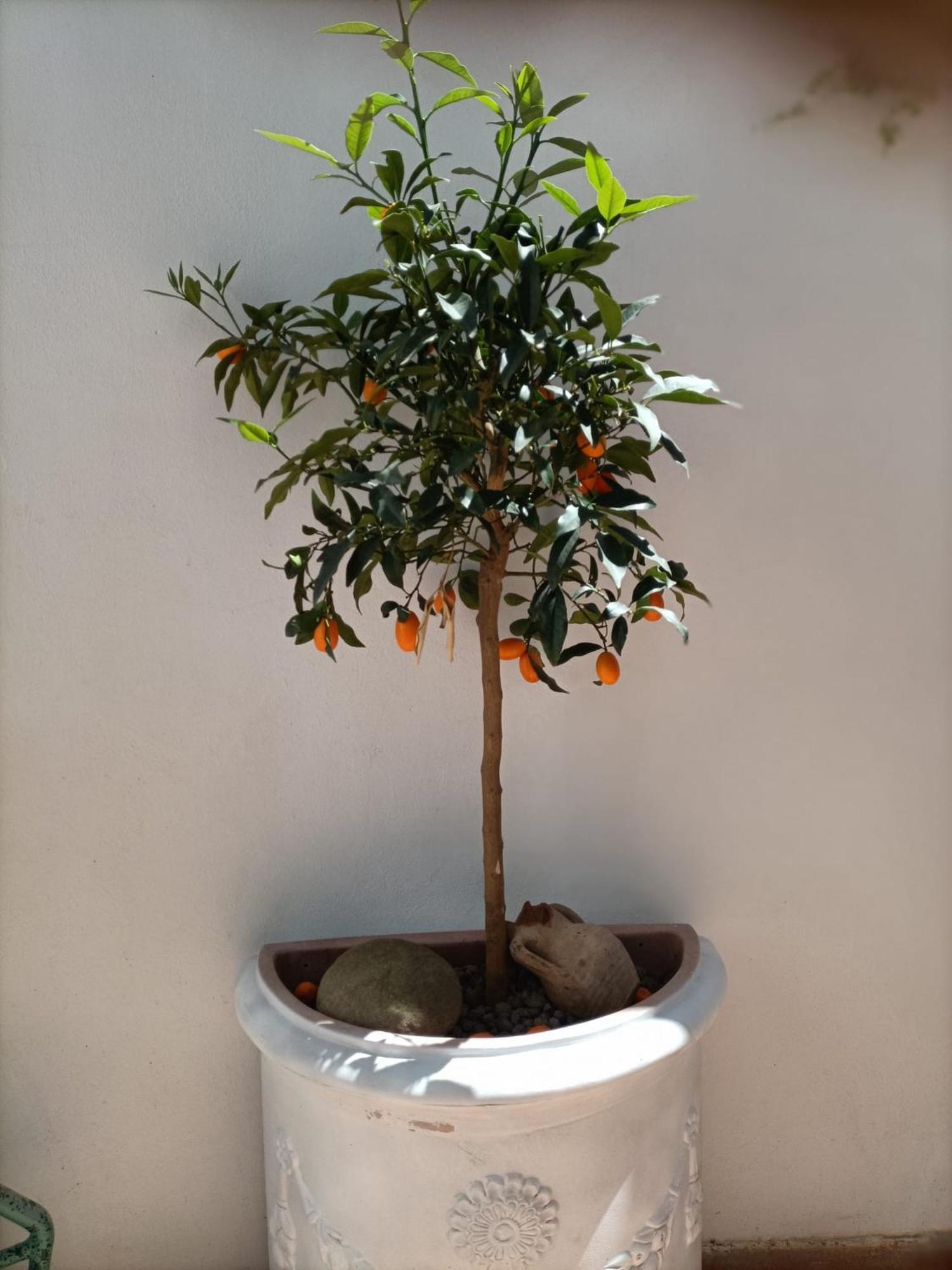 A Casa Di Cicca