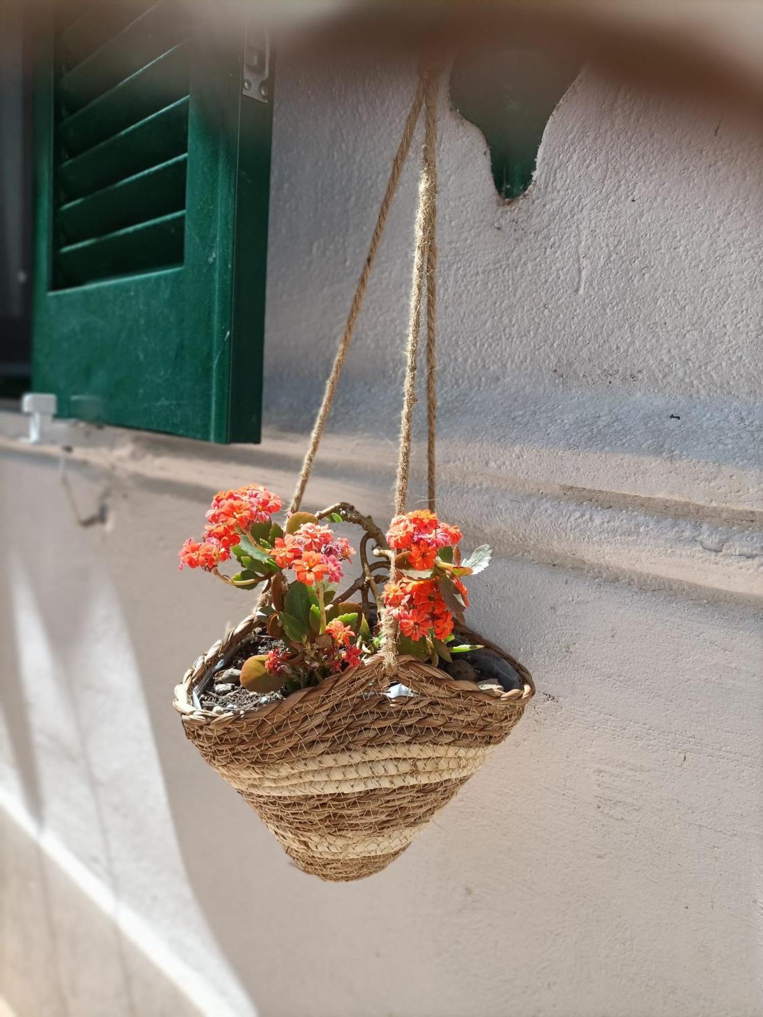 A Casa Di Cicca Appartamento